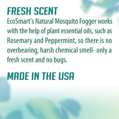 Image showing  14 oz. Natural Mosquito Fogger with Rosemary Oil and Peppermint Oil, 2-Pack