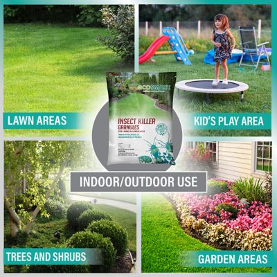 Image showing 6 th EcoSMART 10 lb. Natural Plant-Based Insect Killer Granules for Lawns and Foundations