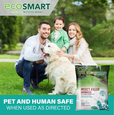 Image showing 9 th EcoSMART 10 lb. Natural Plant-Based Insect Killer Granules for Lawns and Foundations
