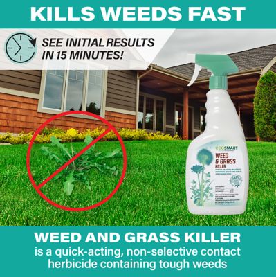Image showing 8 th EcoSMART 24 oz. Natural and Glyphosate-Free Weed/Grass Killer RTU Spray for Lawns, Patios, Driveways and Pavers
