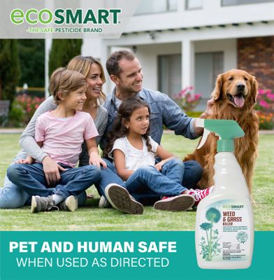 Image showing 9 th EcoSMART 24 oz. Natural and Glyphosate-Free Weed/Grass Killer RTU Spray for Lawns, Patios, Driveways and Pavers