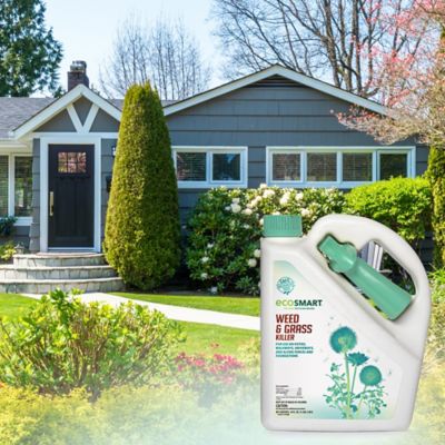 Image showing  64 oz.500 sq. ft. Natural and Glyphosate-Free Weed/Grass Killer, RTU Spray for Lawns, Patios, Driveways and Pavers