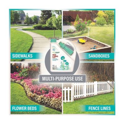 Image showing 5 th EcoSMART 64 oz.500 sq. ft. Natural and Glyphosate-Free Weed/Grass Killer, RTU Spray for Lawns, Patios, Driveways and Pavers