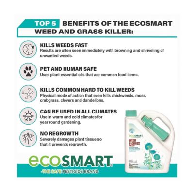 Image showing 6 th EcoSMART 64 oz.500 sq. ft. Natural and Glyphosate-Free Weed/Grass Killer, RTU Spray for Lawns, Patios, Driveways and Pavers
