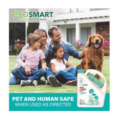 Image showing 8 th EcoSMART 64 oz.500 sq. ft. Natural and Glyphosate-Free Weed/Grass Killer, RTU Spray for Lawns, Patios, Driveways and Pavers