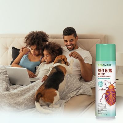 Image showing  14 oz. Natural Bed Bug Killer for Mattresses and Carpets with Peppermint Oil and Rosemary Oil, 2-Pack