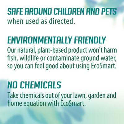 Image showing  14 oz. Natural Bed Bug Killer for Mattresses and Carpets with Peppermint Oil and Rosemary Oil, 2-Pack