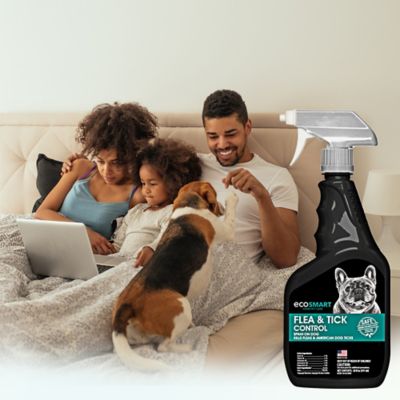 Image showing  Natural Flea and Tick Treatment Spray for Cats and Dogs, 20 oz., 2 ct.