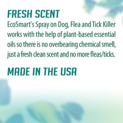 Image showing  Natural Flea and Tick Treatment Spray for Cats and Dogs, 20 oz., 2 ct.