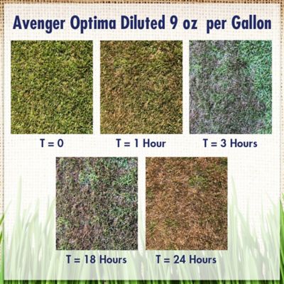 Image showing  2.5 gal. AG Optima Burndown Herbicide, Concentrate