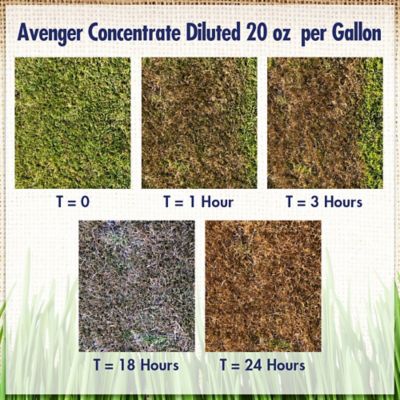 Image showing  1 gal. 10,000 sq. ft. Organic Weed Killer, Non-Toxic