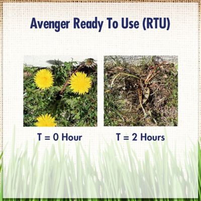 Image showing  1 gal. 1,500 sq. ft. Organic Weed Killer, Non-Toxic