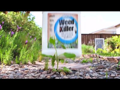 Image showing  1 gal. 1,500 sq. ft. Organic Weed Killer, Non-Toxic