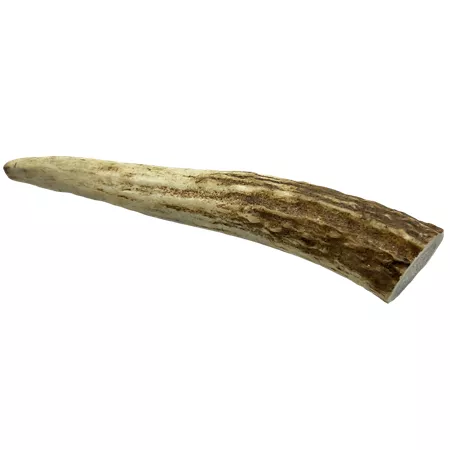 Hotspot Pets Small Dog Treats 4-5 in Whole Elk Antler 1 Count Dog Bones Rawhide & Rawhide Alternative