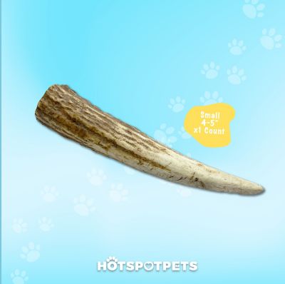 Image showing  4-5 in. Small Whole Elk Antlers Dog Treat