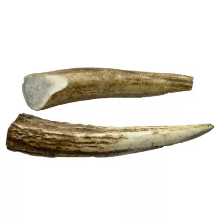 Hotspot Pets Small Dog Treats 4-5 in Whole Elk Antler 2 Count Dog Bones Rawhide & Rawhide Alternative