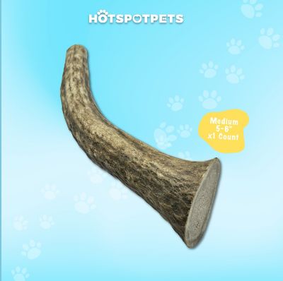 Image showing  5-6 in. Medium Whole Elk Antlers Dog Treat