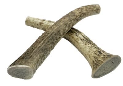 Hotspot Pets All Natural Medium Whole Elk Antler Dog Chew Treats, 2 ct.