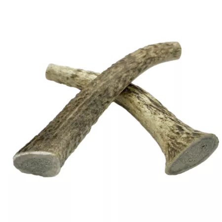 Hotspot Pets Medium Whole Elk Antler Dog Treats 5-6" 2 Count Dog Bones Rawhide & Rawhide Alternative