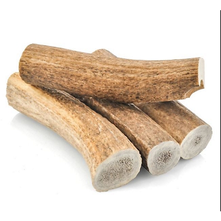 Wooden Treat Sticks - 100 Count