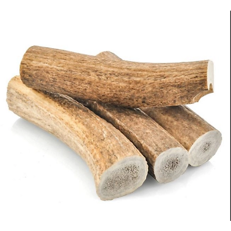 Hotspot Pets All Natural Large Whole Elk Antler Dog Chew Treat, 1 ct.
