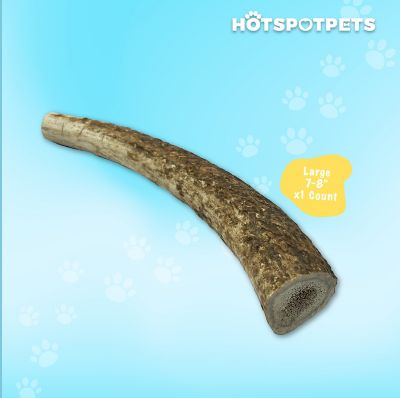Image showing  7-8 in. Large Whole Elk Antlers Dog Treat