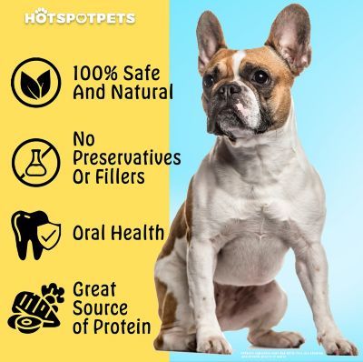 Image showing 8 th Hotspot Pets 7-8 in. Large Whole Elk Antlers Dog Treat