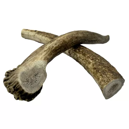 Hotspot Pets 7-8" Whole Elk Antler Dog Treat 2 ct Dog Bones Rawhide & Rawhide Alternative