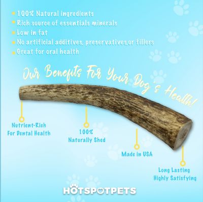 Image showing  7-8 in. Large Whole Elk Antlers Dog Treats, 2 ct.