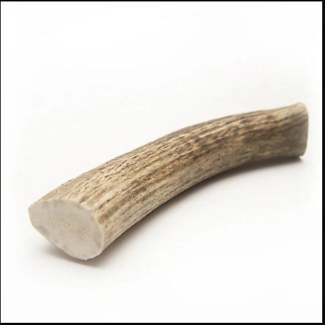 Hotspot Pets All Natural Extra Large Whole Elk Antler Dog Chew Treat, 1 ct.