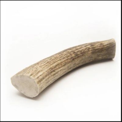 Hotspot Pets All Natural Extra Large Whole Elk Antler Dog Chew Treats, 2 ct.