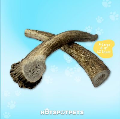 Image showing  8-9 in. XL Whole Elk Antlers Dog Treats, 2 ct.