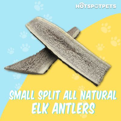 Image showing  4-5 in. Small Split Elk Antlers Dog Treat
