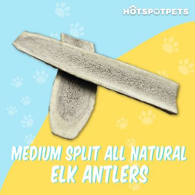 Image showing 1 th Hotspot Pets 5-6 in. Medium Split Elk Antlers Dog Treat