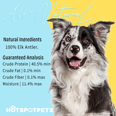 Image showing 5 th Hotspot Pets 5-6 in. Medium Split Elk Antlers Dog Treat