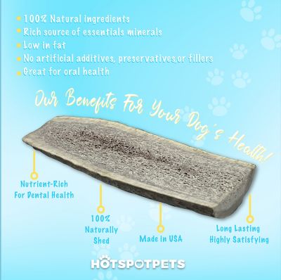 Image showing  5-6 in. Medium Split Elk Antlers Dog Treats, 2 ct.
