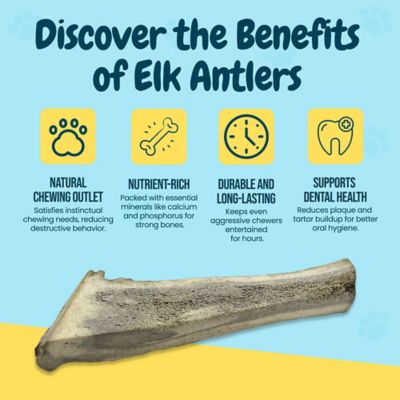 Image showing  8-9 in. XL Split Elk Antlers Dog Treats, 3 ct.