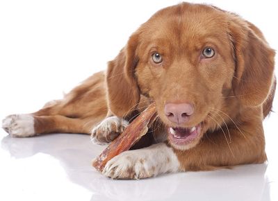 Image showing 8 th Hotspot Pets 6 in. All-Natural Premium Bully Stick Dog Chew Treats, 5 ct.