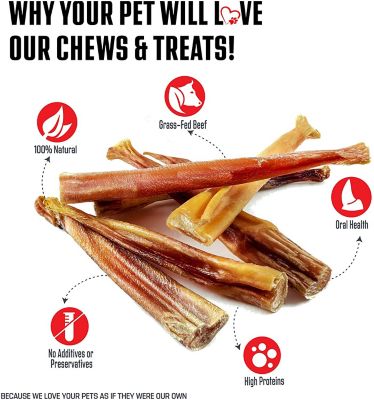 Image showing 6 th Hotspot Pets 6 in. All-Natural Premium Bully Stick Dog Chew Treats, 10 ct.