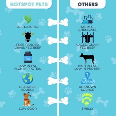 Image showing 6 th Hotspot Pets 12 in. All-Natural Premium Bully Stick Dog Chew Treats, 5 ct.