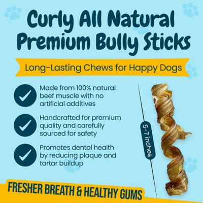 Image showing  5-7 in. All-Natural Curly Premium Bully Stick Dog Chew Treats, 12 ct.