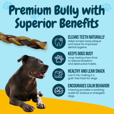Image showing  6 in. All-Natural Braided Premium Bully Stick Dog Chew Treats, 3 ct.
