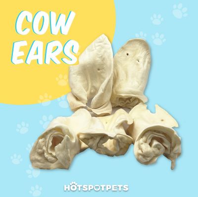 Image showing  5-7 in. Large Whole White Beef Ear Dog Chew Treats, 25 ct.