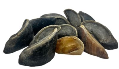 Hotspot Pets 3-5 in. All-Natural Beef Hooves Dog Chew Treats, 12 ct.