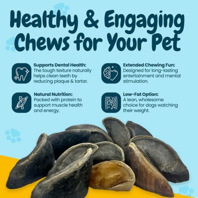 Image showing  3-5 in. All-Natural Beef Hooves Dog Chew Treats, 24 ct.