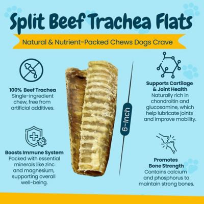 Image showing  6 in. All-Natural Split Beef Trachea Dog Chew Treats, 12 ct.