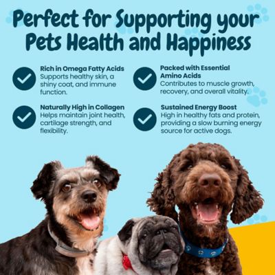 Image showing 5 th Hotspot Pets Large Whole Pig Ears Dog Treats, 6 ct.