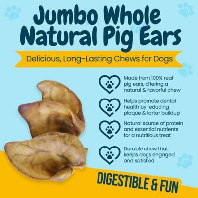 Image showing  Large Whole Pig Ears Dog Treats, 20 ct.