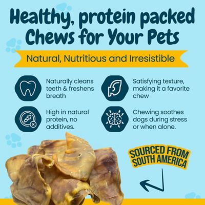 Image showing  Large Whole Pig Ears Dog Treats, 20 ct.