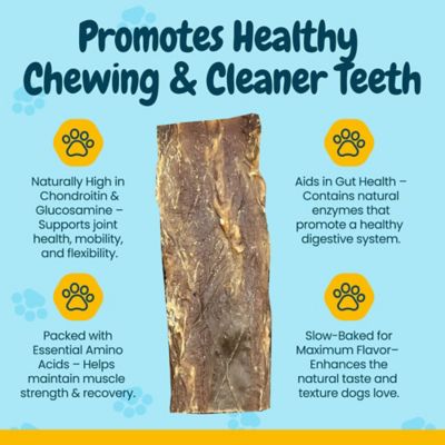 Image showing  Flat Beef Gullet Dog Dental Treats, 6 in., 12 ct.